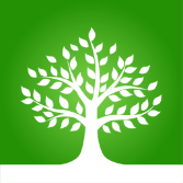 Image with missing alt attribute found on lambsteps.com