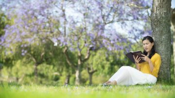 Image with missing alt attribute found on lambsteps.com