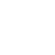 Image with missing alt attribute found on lanueva.com