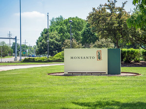 Bayer &ldquo;Not Playing Nice in the Sandbox&rdquo; of Monsanto Litigation
