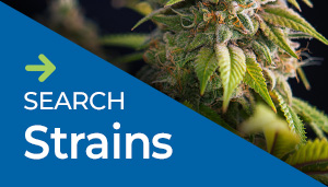 Image with missing alt attribute found on leafbuyer.com