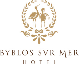 Image with missing alt attribute found on lebanonews.net