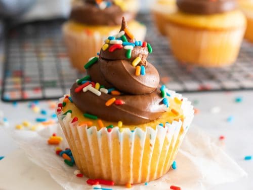 Image with missing alt attribute found on lemonsandzest.com