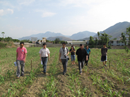 Image with missing alt attribute found on letpub.com