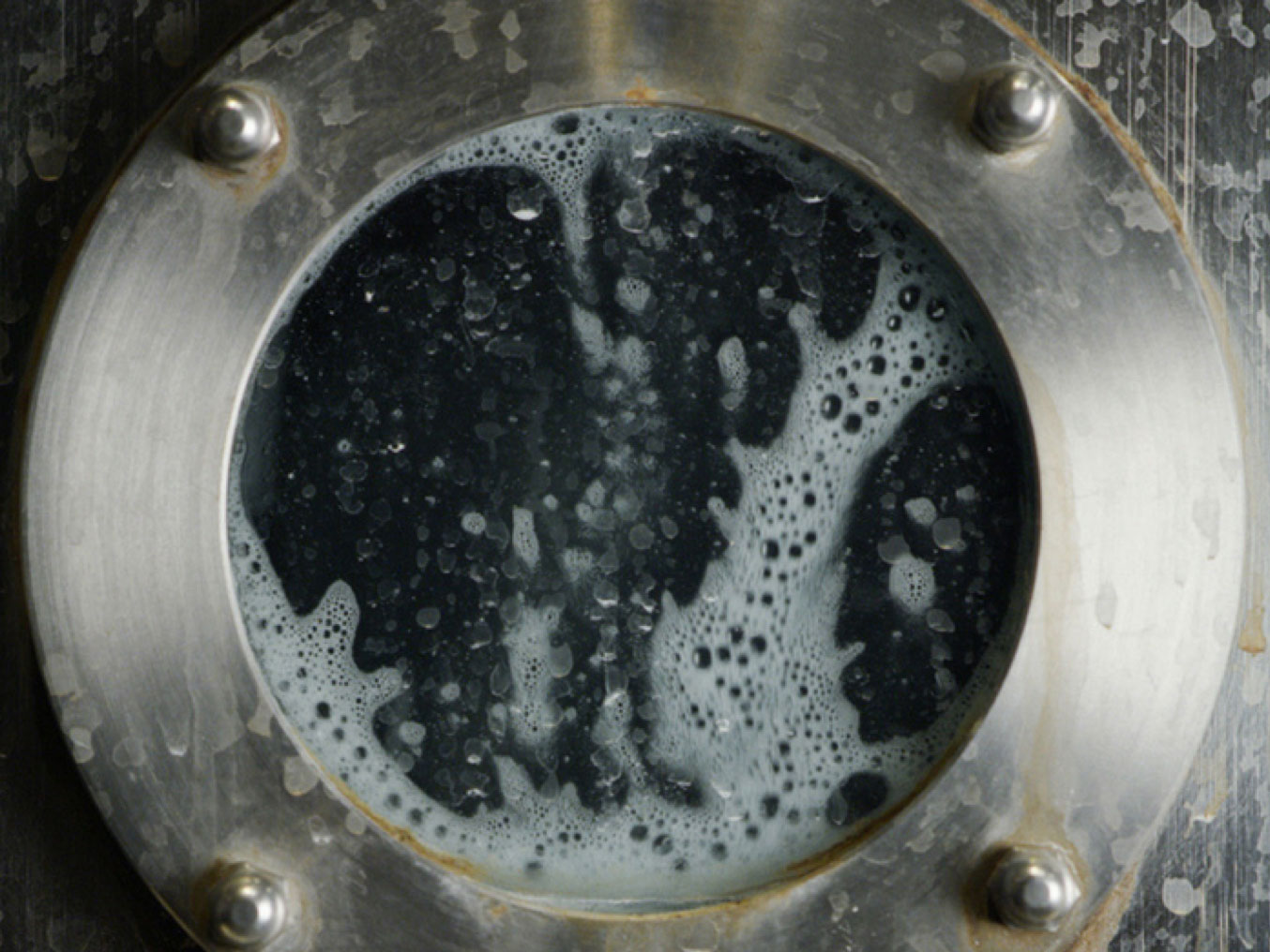 Image with missing alt attribute found on levistrauss.com