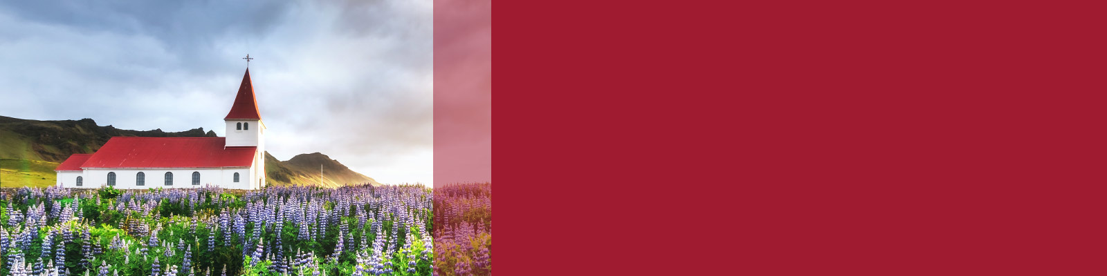 Image with missing alt attribute found on lhm.org