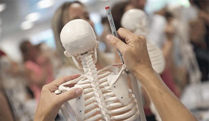 Im Vordergrund ist ein Skelett von hinten zu sehen. Zwei H&auml;nde halten dieses Skelett fest und im Hintergrund sind mehrere unscharfe Menschen zu sehen, die auch an Skeletten stehen.