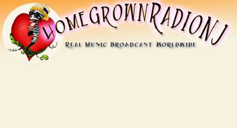 Image with missing alt attribute found on lightningstream.com