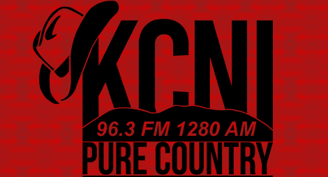 Image with missing alt attribute found on lightningstream.com