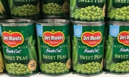 Image with missing alt attribute found on livingrichwithcoupons.com