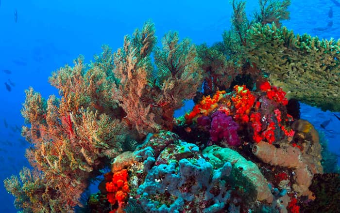 Image with missing alt attribute found on logique.co.id