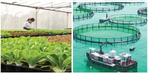 Image with missing alt attribute found on longdom.org