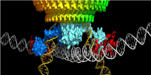 Image with missing alt attribute found on longdom.org