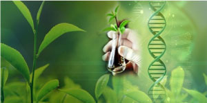 Image with missing alt attribute found on longdom.org