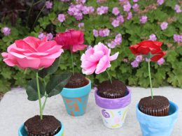 Image with missing alt attribute found on lovebugsandpostcards.com