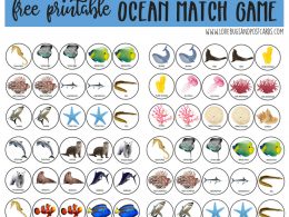 Image with missing alt attribute found on lovebugsandpostcards.com