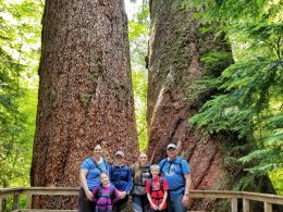 Image with missing alt attribute found on lovebugsandpostcards.com