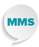 Image with missing alt attribute found on loyalshops.com