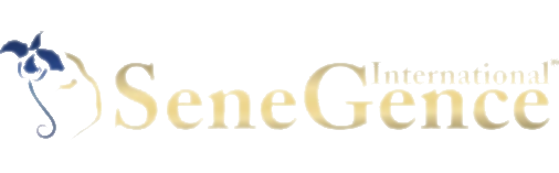 Image with missing alt attribute found on loyalshops.com