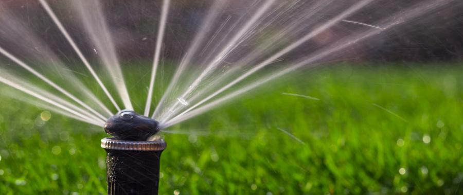 Image with missing alt attribute found on lupus-ddns.de