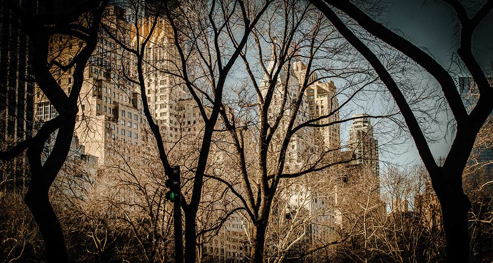 Image with missing alt attribute found on luxurgerynyc.com