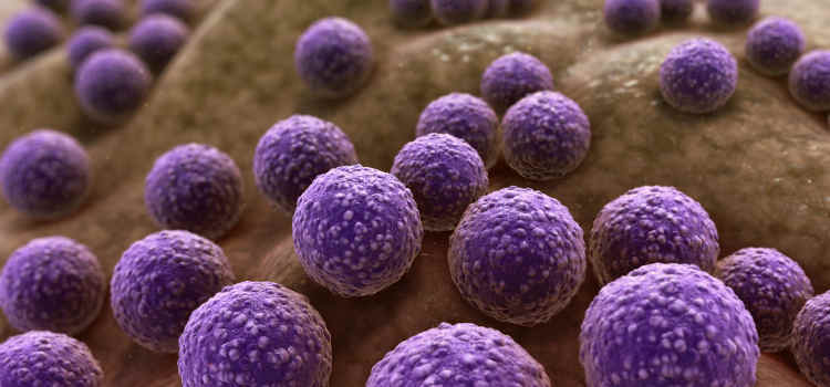 Image with missing alt attribute found on madrimasd.org