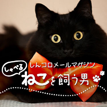 Image with missing alt attribute found on mag2.com