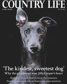 Image with missing alt attribute found on magazinesdirect.com