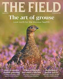 Image with missing alt attribute found on magazinesdirect.com