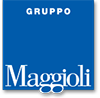Image with missing alt attribute found on maggioli.it