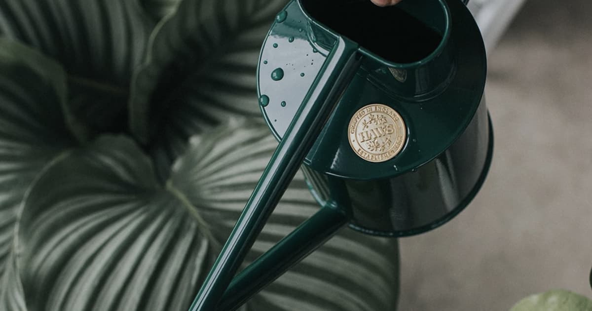 Haws case study developed in Shopify by eCommerce development agency, magic42