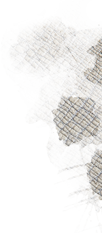 Image with missing alt attribute found on marylandzoo.org