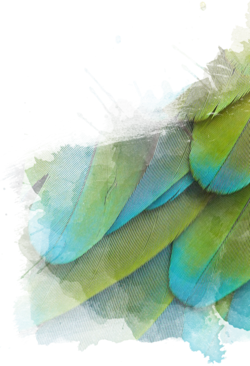 Image with missing alt attribute found on marylandzoo.org