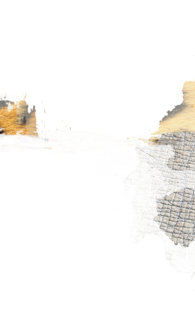 Image with missing alt attribute found on marylandzoo.org