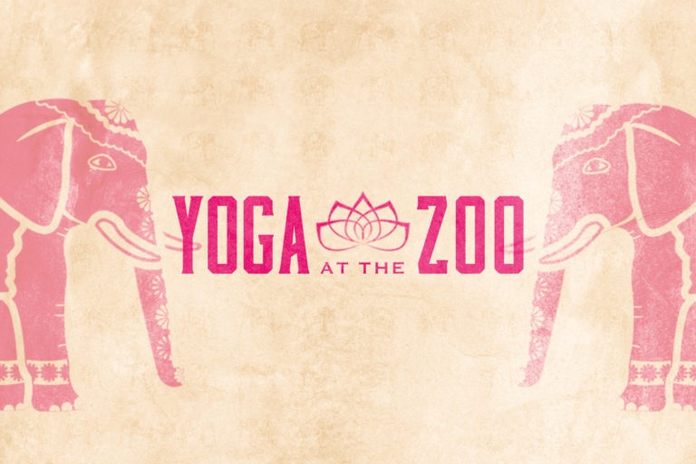 Image with missing alt attribute found on marylandzoo.org