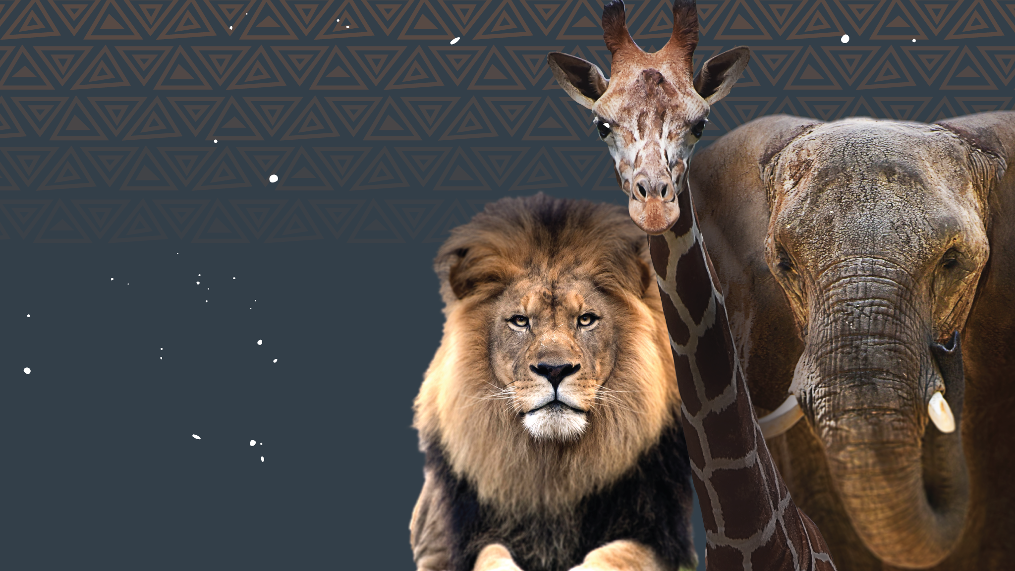 Image with missing alt attribute found on marylandzoo.org