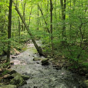 Image with missing alt attribute found on massmoments.org