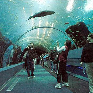 Image with missing alt attribute found on massmoments.org