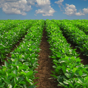 Image with missing alt attribute found on massmoments.org