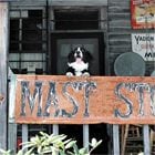 Image with missing alt attribute found on mastgeneralstore.com