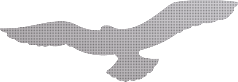 Image with missing alt attribute found on mcx.nl