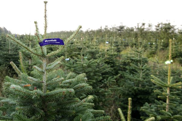 Image with missing alt attribute found on mediar.cz