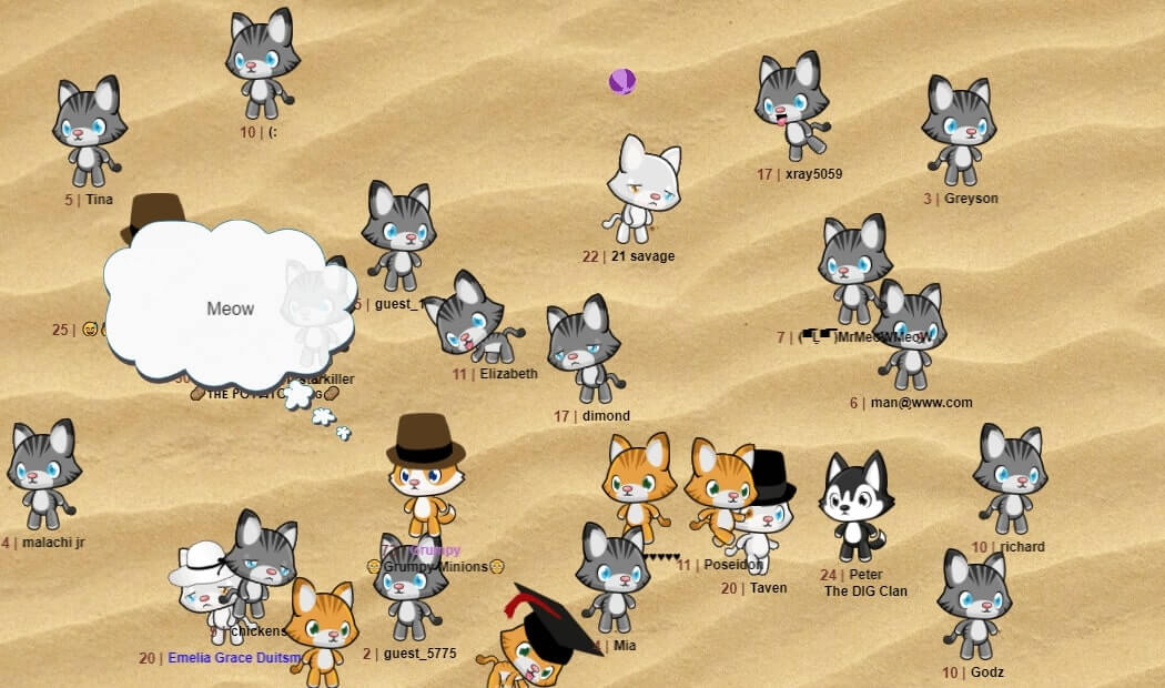 Image with missing alt attribute found on meowplayground.com