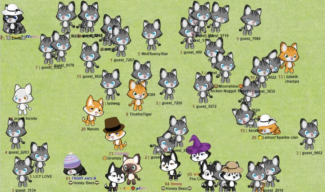 Image with missing alt attribute found on meowplayground.com