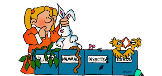 Image with missing alt attribute found on middleweb.com