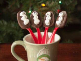 Image with missing alt attribute found on midgetmomma.com