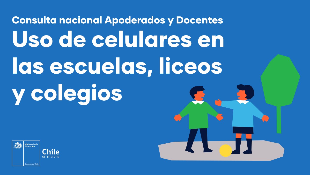 Image with missing alt attribute found on mineduc.cl