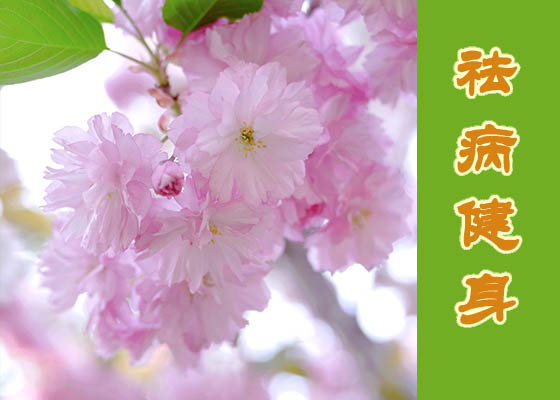 Image with missing alt attribute found on minghui.org