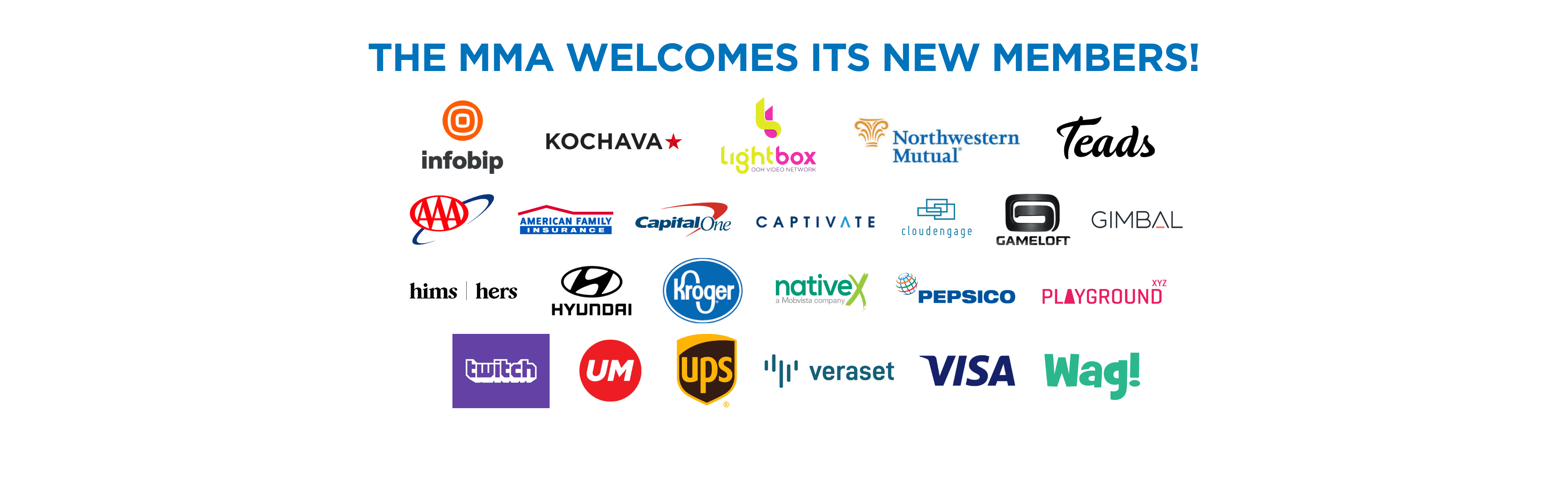 Image with missing alt attribute found on mmaglobal.com