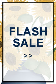 Image with missing alt attribute found on modlily.com